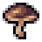 Mushroom.png