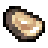 Cooked scallops.png