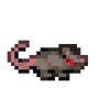 Rat pet.png