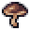 Mushroom.png