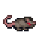 Rat .png